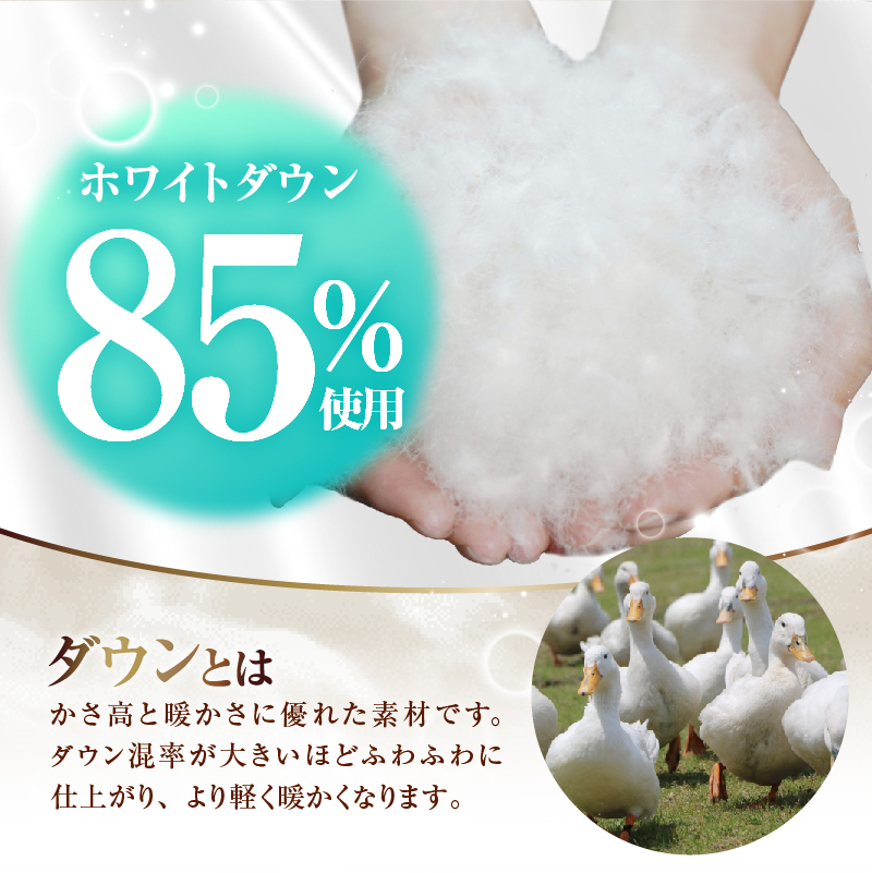 【数量限定・訳あり】羽毛合掛けふとん　シングル　ホワイトダウン８５％使用　【柄お任せ】