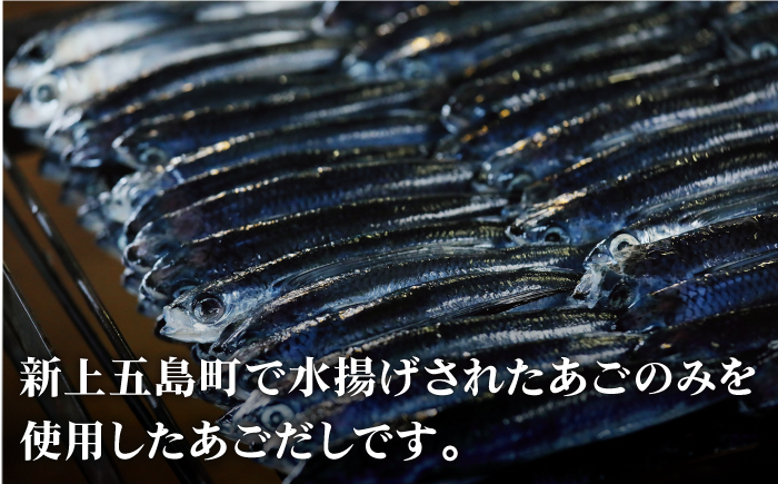 【年4回定期便】3ヶ月に1回お届け！ 厳選 焼きあご 100g×6袋【新魚目町漁業協同組合】 [RBC006]