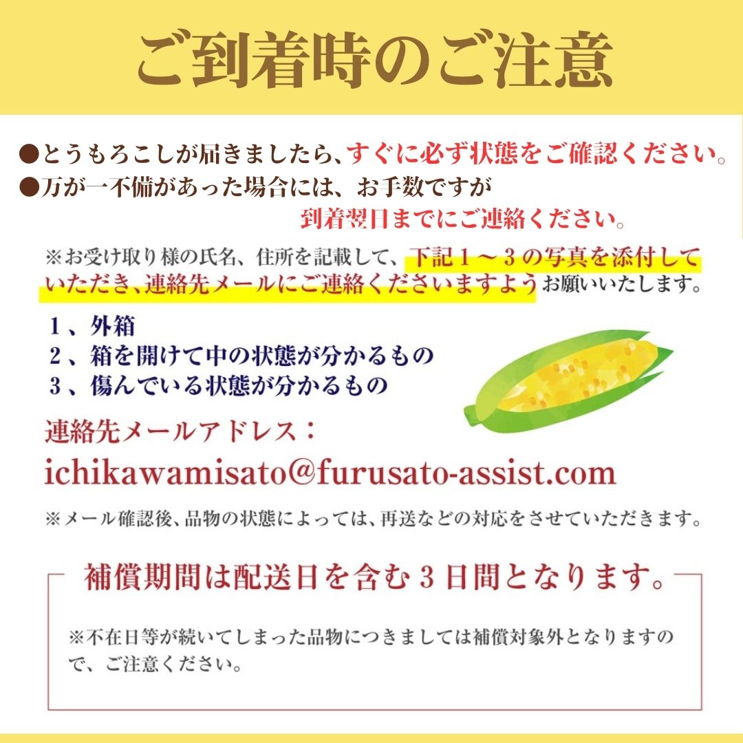 市川三郷町大塚産 ドルチェドリーム 12本 約5kg【2025年6月上旬から発送】Kai Sweet Farm[5839-2211]