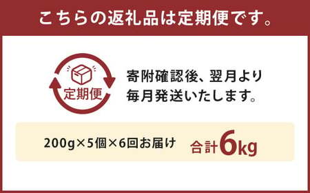 【6ヶ月定期便】黒樺牛ビーフカレー 200g×5パック