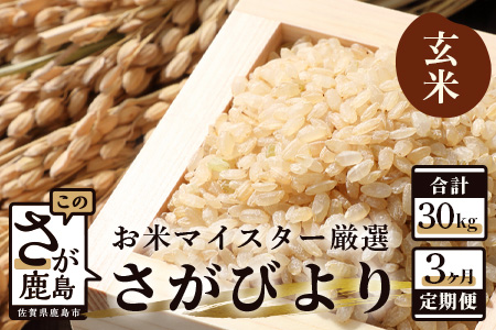 11月発送開始 定期便 3ヶ月 佐賀県産 さがびより 玄米 10kg《3ヶ月連続 毎月お届け》F-16 3回 新米