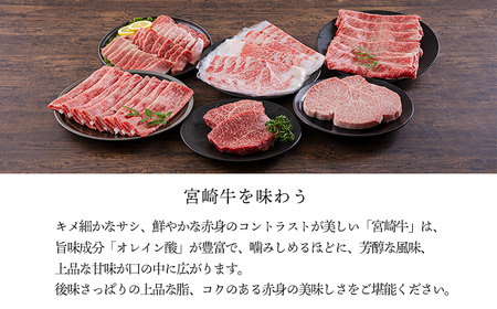 宮崎牛うで肉スライス450g すき焼きしゃぶしゃぶ用（2～3人前） 内閣総理大臣賞4大会連続受賞のお肉 ブランド牛 黒毛和牛 大人気のヘルシーな牛肉 [和牛 国産 黒毛和牛] TF0902-P0002