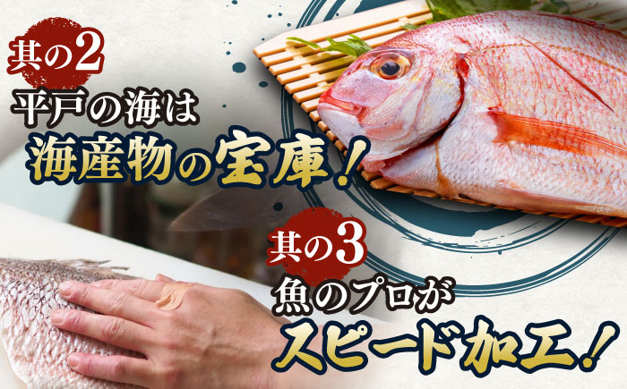 鮮度抜群鯛茶漬け100g×6P【百旬館】[KAK025]/ 長崎 平戸 魚介類 魚 鯛 たい タイ 茶漬け 漬け丼 海鮮丼 一人暮らし 時短