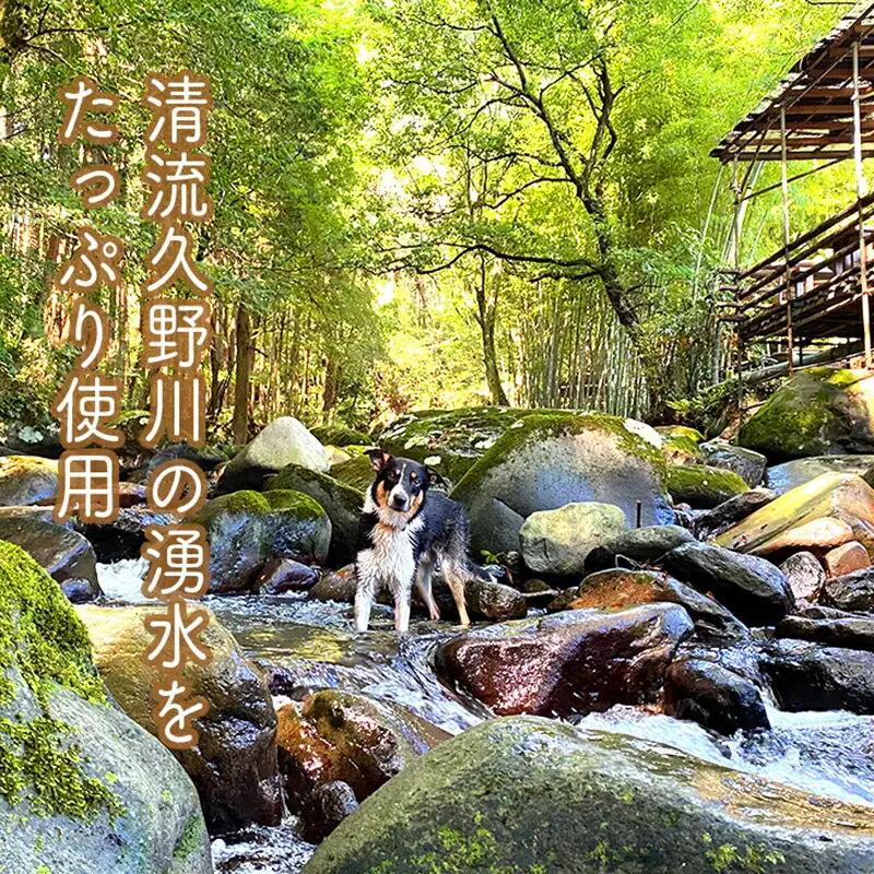 小田原の里山で湧水を贅沢に使って育てた原木生椎茸(300g×2パック)【野菜 きのこ キノコ 茸 シイタケ しいたけ 贈答用 ご家庭で 原木栽培 おすそ分け 神奈川県 小田原市 シイタケ】