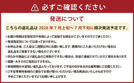 キングメルティーメロン 大玉 4玉（1玉 約2kg） 【2026年7月上旬～2026年7月下旬発送予定】 果物 フルーツ メロン めろん 青肉 希少フルーツ 希少品 北海道 浦臼町