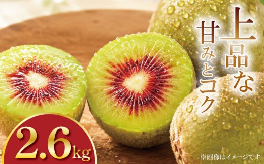訳あり キウイフルーツ 紅妃 2.6kg 先行予約 2026年10月上旬～ 紅妃 レインボーレッド キウイ 国産キウイフルーツ キウイフルーツゼリー キウイフルーツジュース キウイフルーツジャム キウイフルーツタルト キウイフルーツビタミンC キウイフルーツ追熟 キウイフルーツ訳あり キ プレゼント 贈答 送料無料 徳島県 吉野川市 くゆな農園