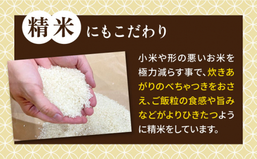 【令和7年産新米】 いとし米 厳選ブレンド 10kg (糸島産) 【2025年11月以降順次発送】糸島市 / 三島商店 [AIM046] 米 白米