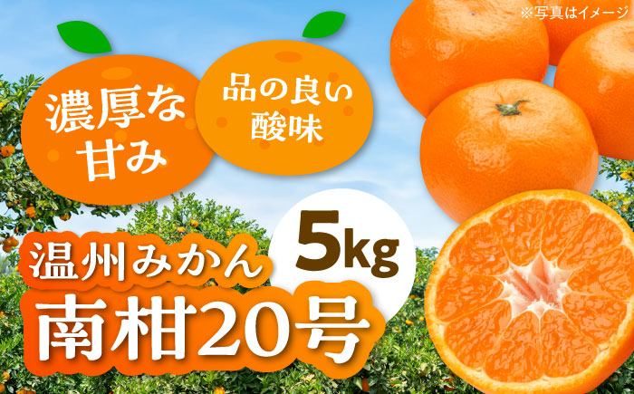 【先行予約】【12月上旬から順次発送】【まごころ手選り手詰め】温州みかん 南柑20号 5㎏ 愛媛県大洲市/カームシトラス みかん ミカン 蜜柑 果物 くだもの フルーツ