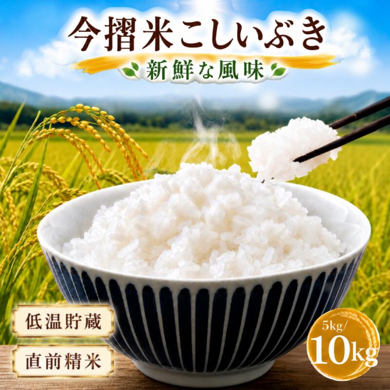 【ふるさと納税】 今摺米 こしいぶき 5kg （5kg×1袋） 10kg （5kg×2袋） 令和7年産 JA ブラ ンド米 米 お米 米5kg 米10kg 精米 いまずりまい ごはん こめ おむすび おにぎり 弁当 おかず 色彩選別 鮮度 雪解け水 贈答 国産 新潟 新発田 JA北新潟 こったま～や JA011P