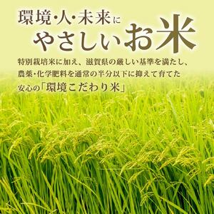みずかがみ 5kg 定期便 6ヶ月 令和8年産 新米 白米 みずかがみ 滋賀県