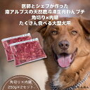 【ふるさと納税】医師とシェフが作った　南アルプスの天然鹿冷凍生肉ドッグフード角切り×内蔵　たくさん食べる大型犬用 【 山梨県 南アルプス市 】