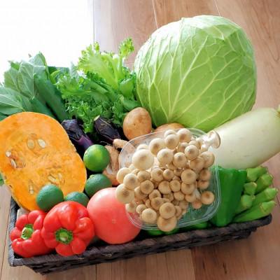 ふるさと納税 印南町 【発送月固定定期便】旬の新鮮野菜セット8種以上 奇数月発送【野菜詰め合わせ】全6回 |  | 01