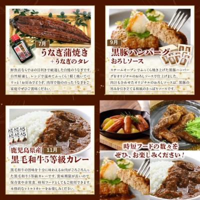 ふるさと納税 南九州市 【発送月固定定期便】時短!お手軽!ごちそうバラエティ定期便全6回 |  | 02