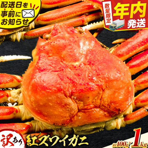 【ふるさと納税】＼12/23決済完了分まで年内配送／ 訳あり カニ 紅ズワイガニ 選べる 400g(1枚) or 1kg(3枚)《2025年9月中旬-2026年6月中旬頃出荷》鳥取県 八頭町 送料無料 蟹 かに 姿 鍋 ズワイガニ ベニズワイガニ ズワイ蟹 ボイル 冷蔵便
