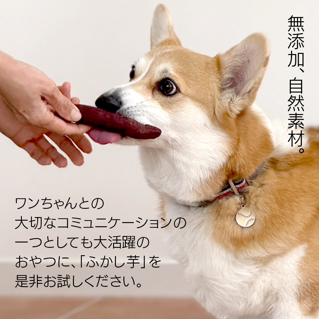 【6ヶ月定期便】動物 ペットおやつ ペット用 ふかし芋 小芋 紅はるか 芋 いも おやつ 動物 ペットフード 犬 猫 間食 ヘルシー オヤツ 2kg [AU122ya]
