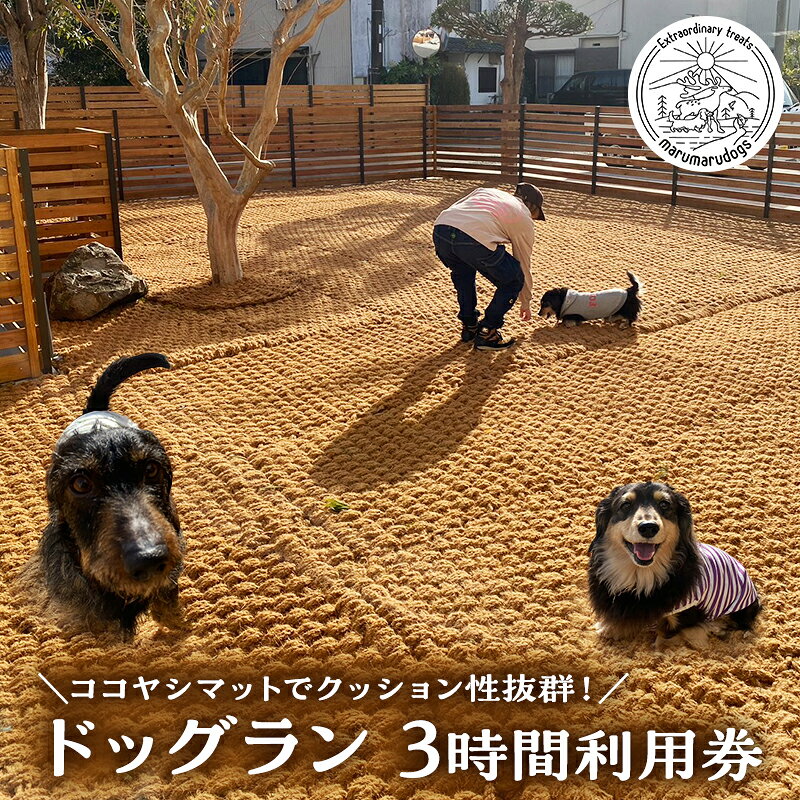 【ふるさと納税】MARUMARUDOGS ドックラン 3時間利用券 1時間×3枚セット 人1人＋犬1頭 チケット 犬 ペット 体験 施設 施設利用券 ラン コイヤーグラウンド 天然素材 静岡県 河津町