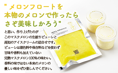 ピューレ メロンピューレ バニラアイスクリーム 5個セット テレビ「めざましどようび キクエがキクヨ！」で紹介 JALファーストクラス機内食に採用 - 果物 くだもの めろん 果汁100% 丸搾り ス