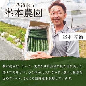 きゅうり 2kg 2キロ キュウリ 野菜 新鮮 サラダ 漬物 浅漬け ぬか漬け 酢の物 炒め物 健康 高知県 土佐清水市【R01451】