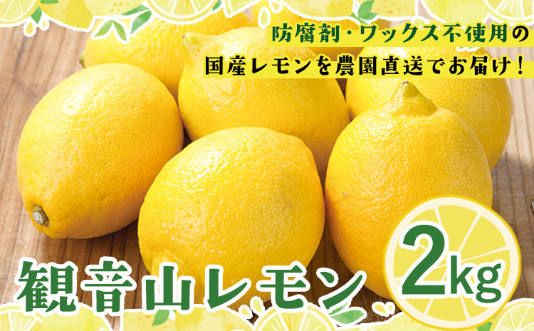 
            観音山レモン 2kg(約16玉-20玉) 有限会社柑香園【先行予約】《2025年10月中旬-2026年3月末頃出荷》和歌山県 紀の川市 フルーツ 果物 柑橘 檸檬 レモン
          