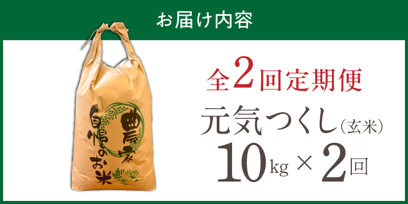 【定期便2回】【令和8年産 新米】福岡県産ブランド米元気つくし 玄米 10kg×2回 _  元気つくし 10kg お届け回数 2回 定期便 福岡県産 ブランド米 新米 福岡生まれ 品種 香り豊か ふっくら 食感 ご飯 おにぎり 弁当 お米 食品 お取り寄せ 九州 久留米市産 福岡県 久留米市 送料無料 _Tk116-02