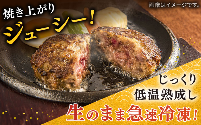 佐賀牛本生ハンバーグと国産黒毛和牛本生ハンバーグ 2種食べ比べセット 計4個（2種×2個）/ ハンバーグ 冷凍 小分け 簡単調理 和牛 / 佐賀県 / 株式会社中山牧場 [41AOCW003]
