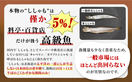 しらぬか産 本ししゃも【20尾（オスメス各10尾）】_A015-1019-60DAYS