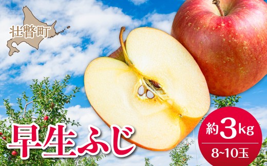 北海道壮瞥町産りんご「早生ふじ」約3kg(8～10玉)<2026年10月中旬よりお届け>【 ふるさと納税 人気 おすすめ ランキング りんご リンゴ 林檎 早生ふじ ふじ 昴林 紅将軍 北海道 壮瞥町 送料無料 】 SBTF002