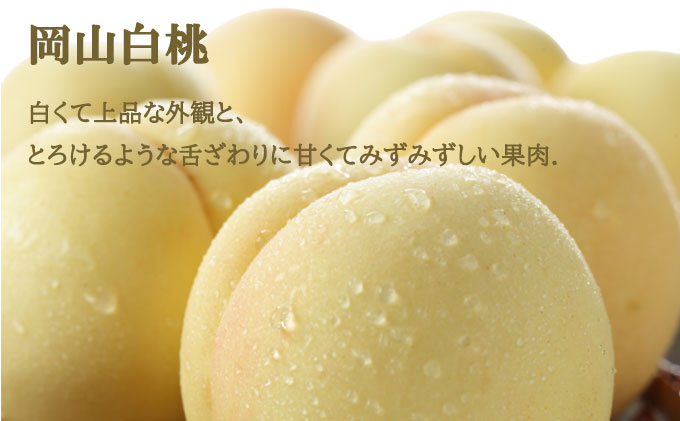 岡山白桃 ロイヤル 2玉×約200g（Lサイズ、早生種・中生種）シャインマスカット 晴王 1房約400g 詰合せ 岡山県産 果物類 ぶどう ブドウ 種無し もも モモ フルーツ デザート 食後 おやつ