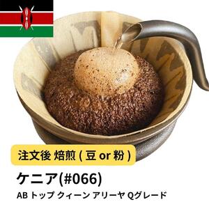 【粉】コーヒー #066 ケニア AB トップ クィーン アリーヤ Qグレード 310g 当日焙煎 大山珈琲