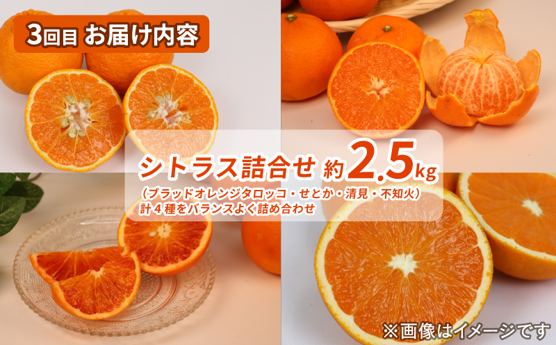 シトラス フルーツ ジュース 4回 定期便 コルレオファーム 南柑20号 ブラッドオレンジ モロ 甘平 はるか ポンカン タロッコ せとか 清見 不知火 ( デコポン と同品種) 詰め合わせ 愛媛ミカ