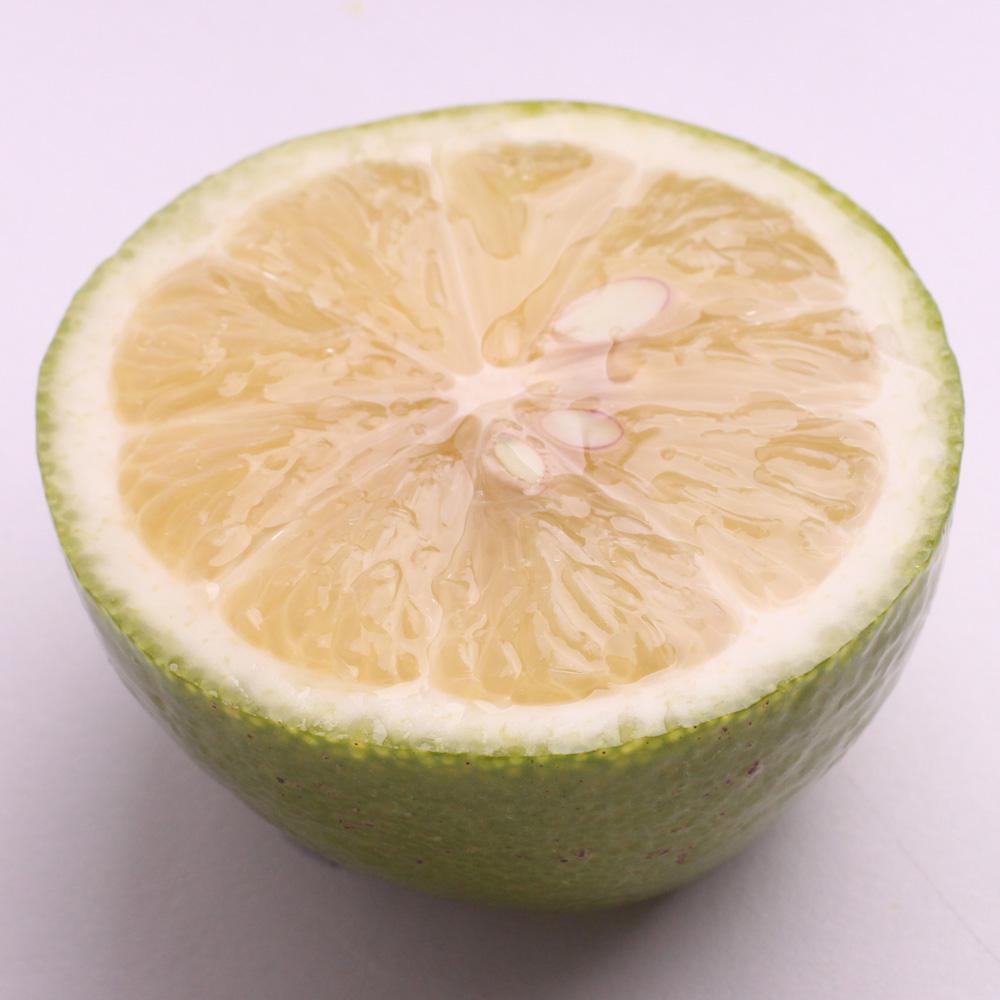 家庭用 レモン2.5kg+250g（傷み補償分）【和歌山有田産】【防腐剤・WAX不使用、安心の国産レモン】【わけあり・訳ありレモン】 ［IKE124］