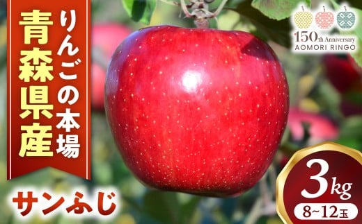 りんご【サンふじ】約3kg（8～12玉）【2025年産・先行予約】★2025年12月中旬～2026年1月中旬以降にかけて順次発送★青森県三戸町産 りんご 林檎 フルーツ 果物 果実 青森県 青森県産 三戸 三戸町 高級 贈答 ギフト プレゼント 産地直送 農家直送  青森県三戸町 R0608
