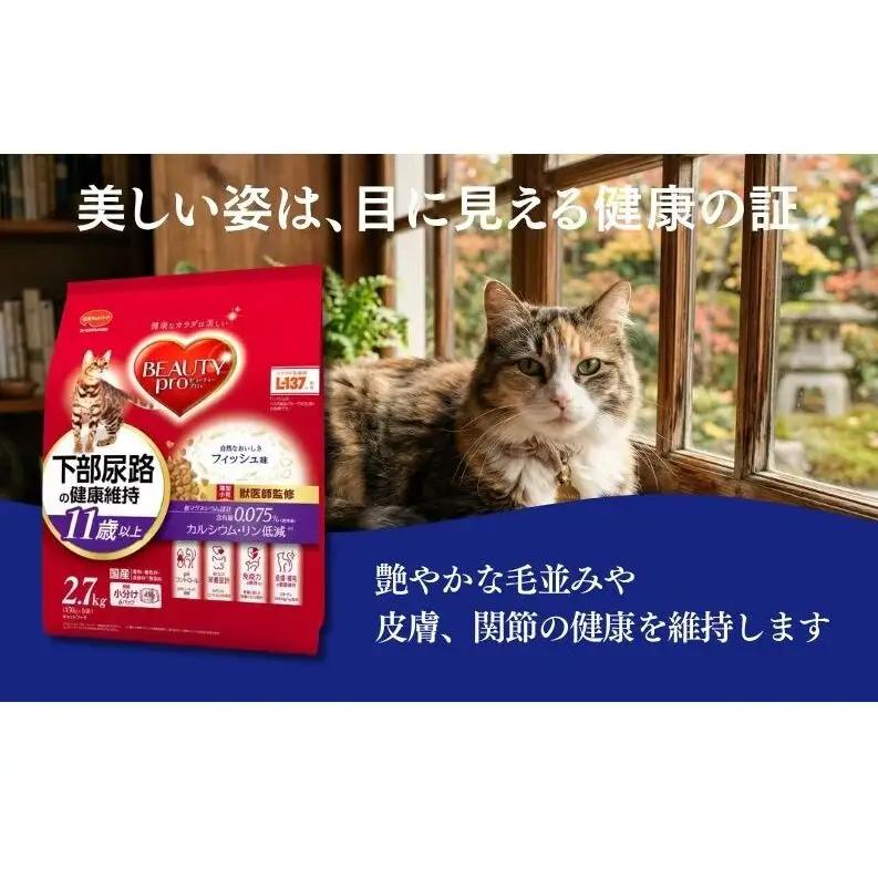 ビューティープロ キャット 下部尿路の健康維持 11歳以上 2.7kg ｘ4(ケース単位) キャットフード