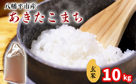 新米 先行予約 【令和8年産】 あきたこまち 玄米 10kg （5kg×2袋）《2026年11月中旬より順次発送開始予定》 ／ げんまい 岩手県産 中沢農産