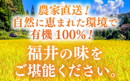 【先行予約】【令和7年産】定期便 ≪12ヶ月連続お届け≫  化学肥料不使用 特別栽培米 コシヒカリ 精米 10kg × 12回（合計120kg）※2025年10月上旬より順次発送 [aw010-p00