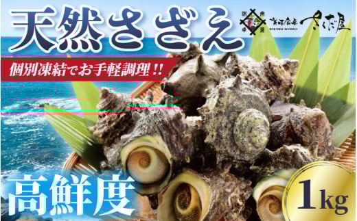 天然 さざえ ≪1kg≫ 加熱用 高鮮度 急速冷凍【海鮮 BBQ バーベキュー 栄螺 サザエ】 [e04-a056]