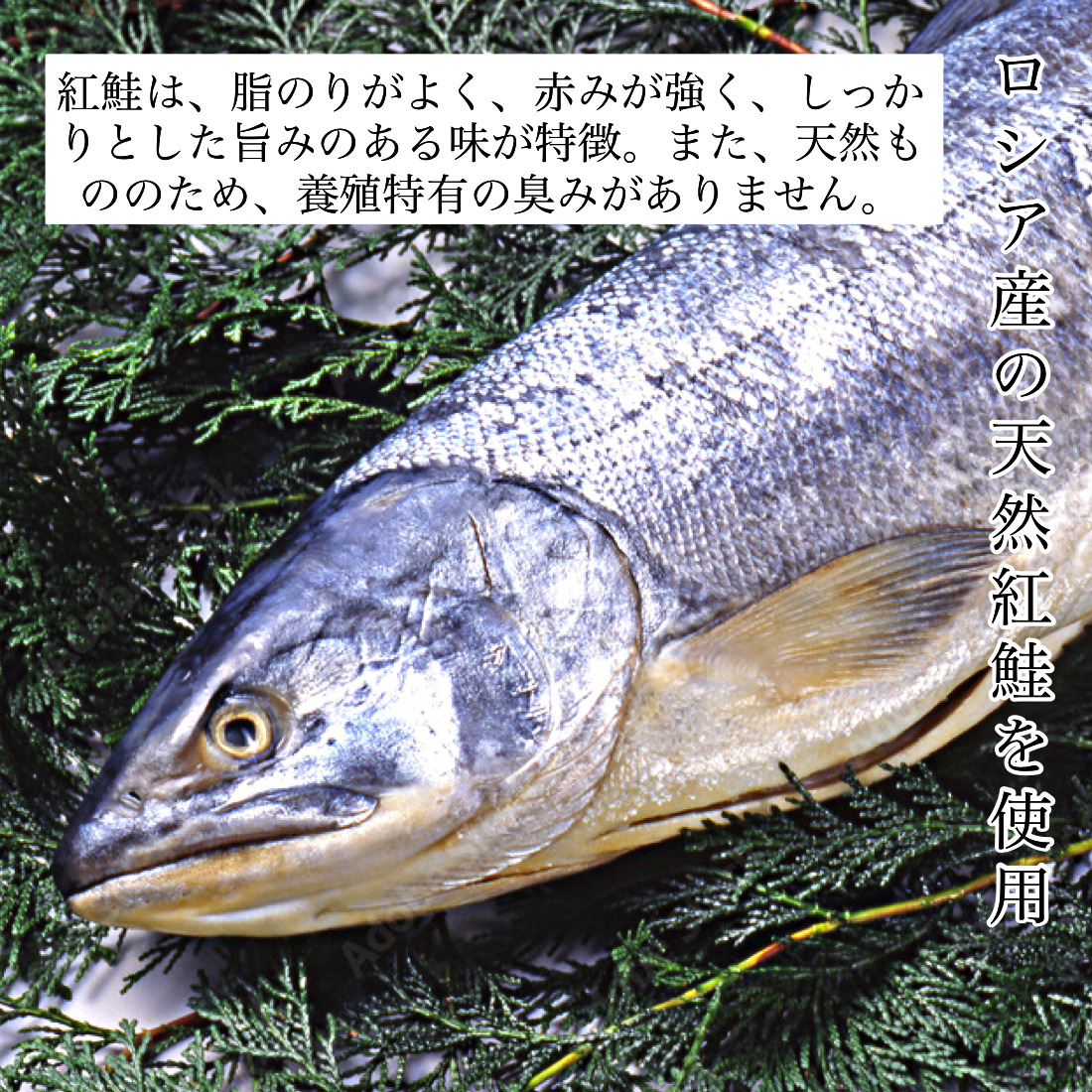 天然紅鮭の切り身(甘塩)　10切