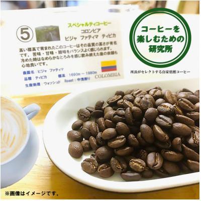 ふるさと納税 諫早市 【のし付き】自家焙煎スペシャルティコーヒーおまかせセット　スタンダード(豆のまま) |  | 01