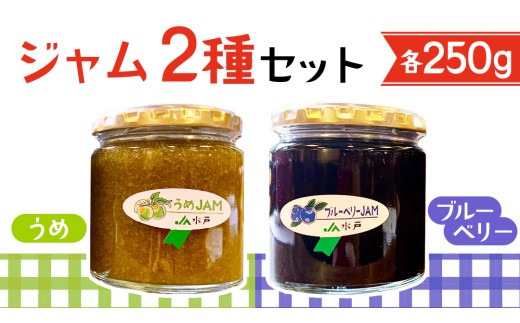 ジャム2種セット【うめ・ブルーベリー】コンフィチュール フルーツジャム 2種類 梅 ume blueberry パン 食パン 朝食 アレンジ お菓子作り ヨーグルト 炭酸水 炭酸割り 詰合せ 果物 フルーツ 茨城県 道の駅かつら (AF117)