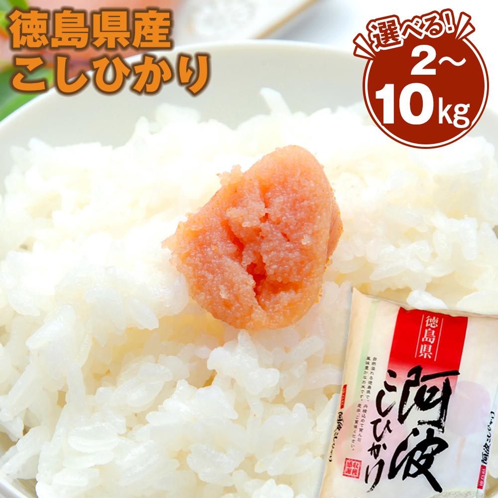 【ふるさと納税】選べる!!　徳島県産 コシヒカリ 阿波の恵み米 2kg・4kg・10kg | お米 こめ 白米 食品 人気 おすすめ 送料無料