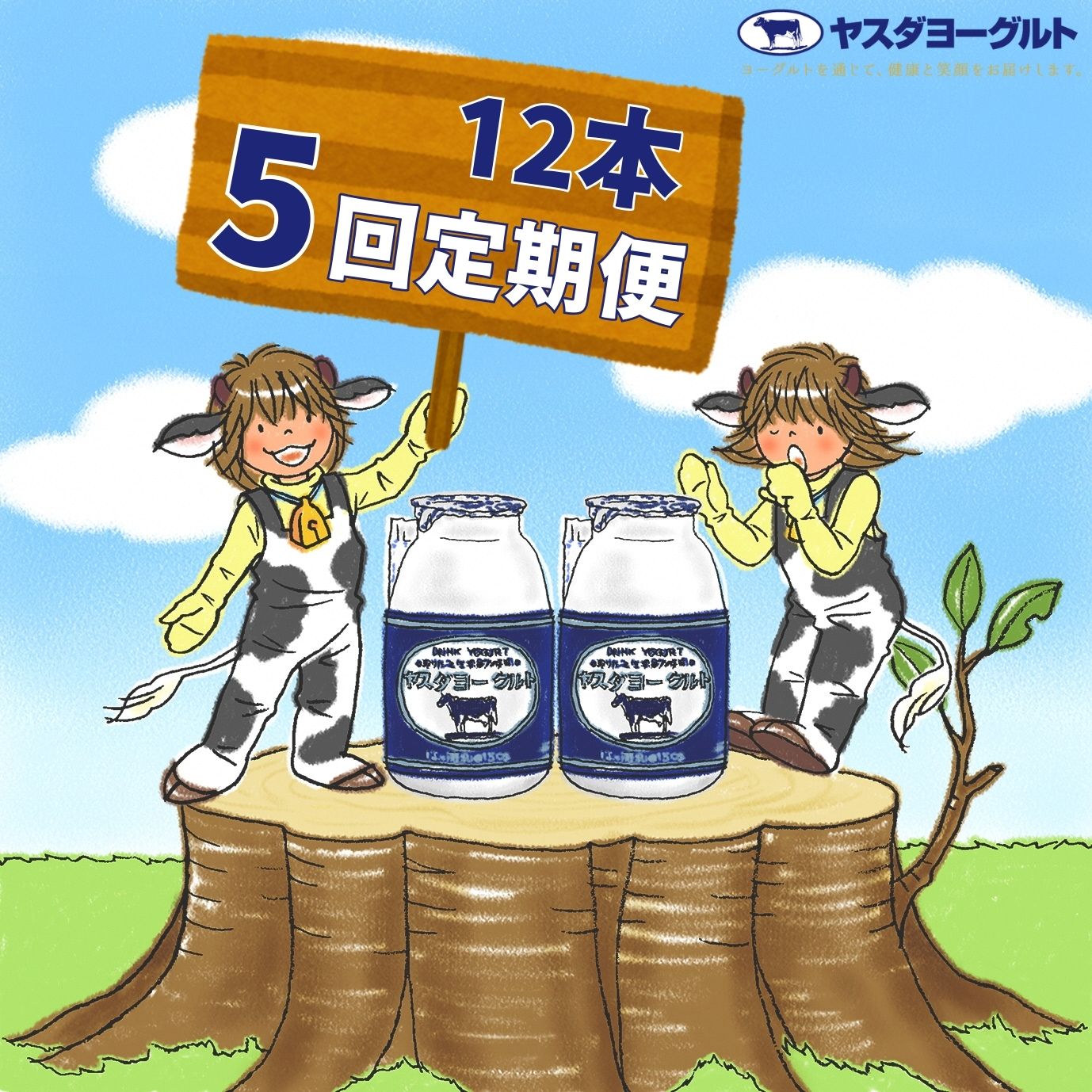 【ふるさと納税】≪5回定期便 ≫ ヤスダヨーグルト 150g×12本 飲むヨーグルト ヨーグルト こだわり生乳 濃厚