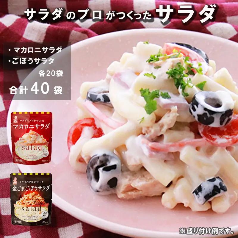 サラダ パウチ 2種 40袋 ごぼう マカロニ お惣菜