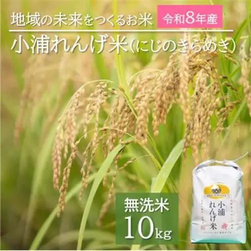 令和8年産(2026年産) 新米!小浦れんげ米(にじのきらめき)【無洗米】 10kg【1680207】