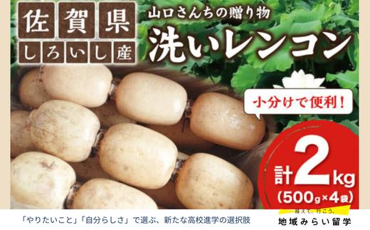 
            【山口さんちの贈り物｜佐賀県しろいし町産】産地直送「洗いしろいし蓮根」2kg（500g×4袋）
          