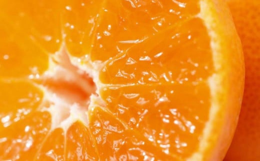 JAにしうわ みつる共選 「蜜る」 8kg（2S～2L）4kg×2箱※離島への配送不可（2025年11月中旬より順次発送予定） 【ふるさと納税 人気 おすすめ ランキング 柑橘 ミカン みかん 蜜る mikan 光センサー 糖度12度 果物 生果 フルーツ ブランド 旬 愛媛県産 愛媛県 伊方町 送料無料】 IKTBC013