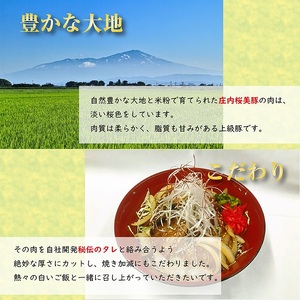 SA0017　自社秘伝のたれ　こだわりの逸品　焼肉丼の具