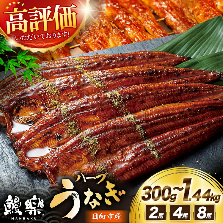 【ふるさと納税】【高評価★4.84】 うなぎ 国産 宮崎 蒲焼 ハーブうなぎ 選べる 内容量 2尾 4尾 8尾 [鰻楽 宮崎県 日向市 452061578] 蒲焼き 長焼き ウナギ 鰻 長蒲焼 冷凍 化粧箱入り ギフト 鰻楽