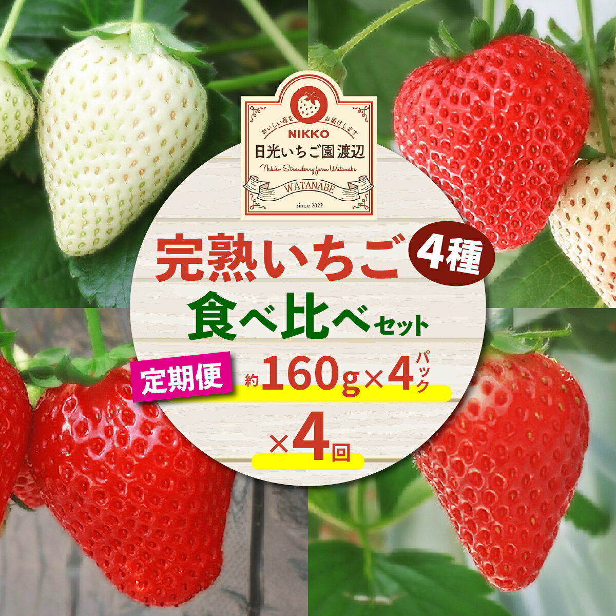 【ふるさと納税】[先行予約][定期便／4ヶ月] 日光の自然が育む「完熟いちご」 4種類を毎月食べ比べ！[2027年1月より発送開始]｜期間限定 イチゴ 苺 フルーツ とちおとめ とちあいか スカイベリー ミルキーベリー 果物 産地直送 日光産 栃木県産 [0965]