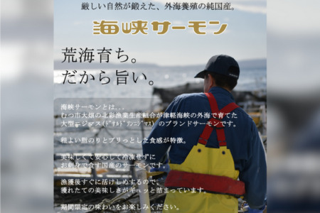 【2025年6月上旬発送】海峡サーモン　お刺身・切身Cセット(4種7点)