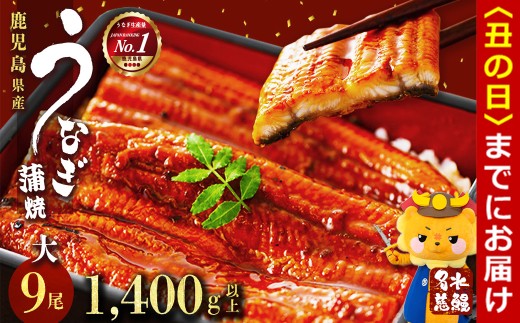 【丑の日までに配送】鹿児島県産うなぎ蒲焼 名水慈鰻 大9尾(1尾160g以上)＜計1.4kg以上＞ e8-001-us